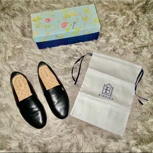 Birdies The Starling